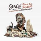 Ceschi - Broken Bone Ballads