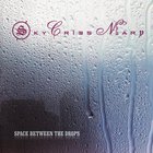 Sky Cries Mary - Space Between The Drops