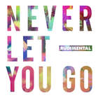 Rudimental - Never Let You Go (CDS)
