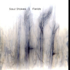 Saul Stokes - Fields