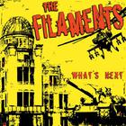 The Filaments - What's Next