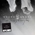 Ozark Henry - The Journey's Everything