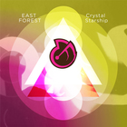 East Forest - Crystal Starship (EP)