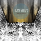 Black Whales - Shangri-La Indeed