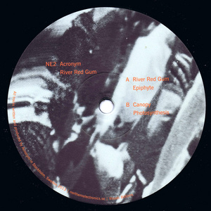 River Red Gum (EP)