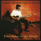 Terry 'Harmonica' Bean - Two Sides Of The Blues