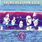 Second Foot In Cold Water (Vinyl)