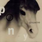 Ginuwine - Pony (CDR)