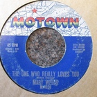 Mary Wells - The One Who Really Loves You / I'm Gonna Stay (VLS)