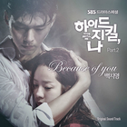 Baek Ji Young - Because Of You (CDS)