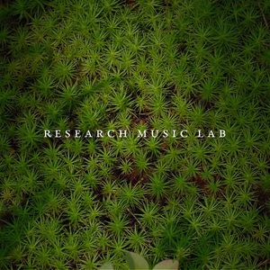 Research Music Lab