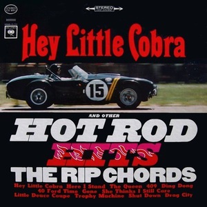 Hey Little Cobra (Vinyl)