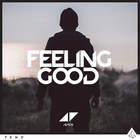 Avicii - Feeling Good (CDS)