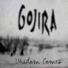 Gojira - Wisdom Comes