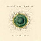 Medeski, Martin & Wood - Radiolarians III