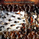 Numina - Subterranean Landscapes