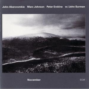 November (With Marc Johnson, Peter Erskine & John Surman)
