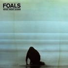 Foals - What Went Down (CDS)