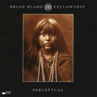 Brian Blade Fellowship - Perceptual