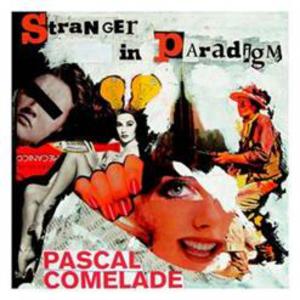 Stranger In Paradigm