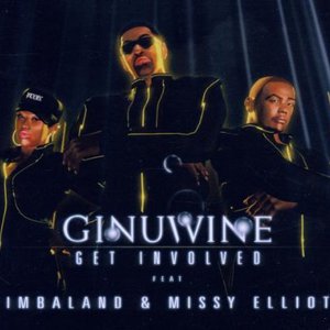 Get Involved (Feat. Timbaland & Missy Elliott) (CDS)