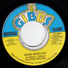 Burn Babylon (Vinyl)