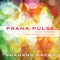 Shamans Dream - Prana Pulse