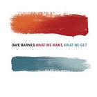 Dave Barnes - What We Want, What We Get