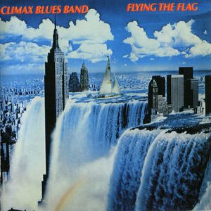 Flying The Flag (Vinyl)