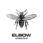 Lost Worker Bee (EP)