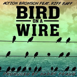 Bird On A Wire (CDS)