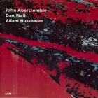 While We're Young (With John Abercrombie & Adam Nussbaum)