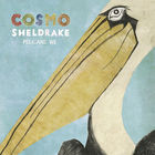 Cosmo Sheldrake - Pelicans We (EP)