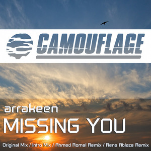 Missing You (MCD)