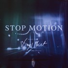 Vinyl Thief - Stop Motion (EP)