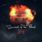 Mobb Deep - Survival Of The Fittest (EP)