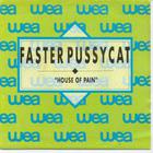 Faster Pussycat - House Of Pain (VLS)