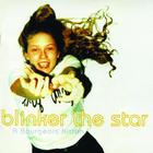 Blinker The Star - Bourgeois Kitten