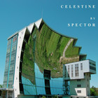 Spector - Celestine (CDS)