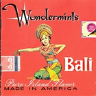 Wondermints - Bali