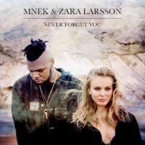 Never Forget You (CDS)