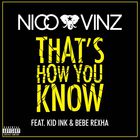 Nico & Vinz - That's How You Know (CDS)