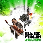 Black Violin - Unleashed 2