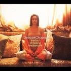 Deepak Chopra - The Soul Of Healing Meditations (With Adam Plack)