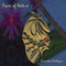 Ernesto Cortazar - Faces Of Nature