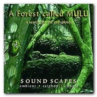 Chris Hinze - A Forest Called Mulu - A Serach For The Unexplored