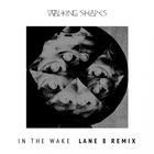 Walking Shapes - In The Wake (Lane 8 Remix) (CDS)