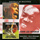 John Lee Hooker - Kabuki Wuki / Born In Mississippi CD2