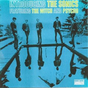 Introducing The Sonics