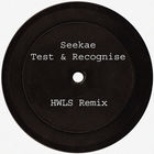 Seekae - Test & Recognise (Remixes)